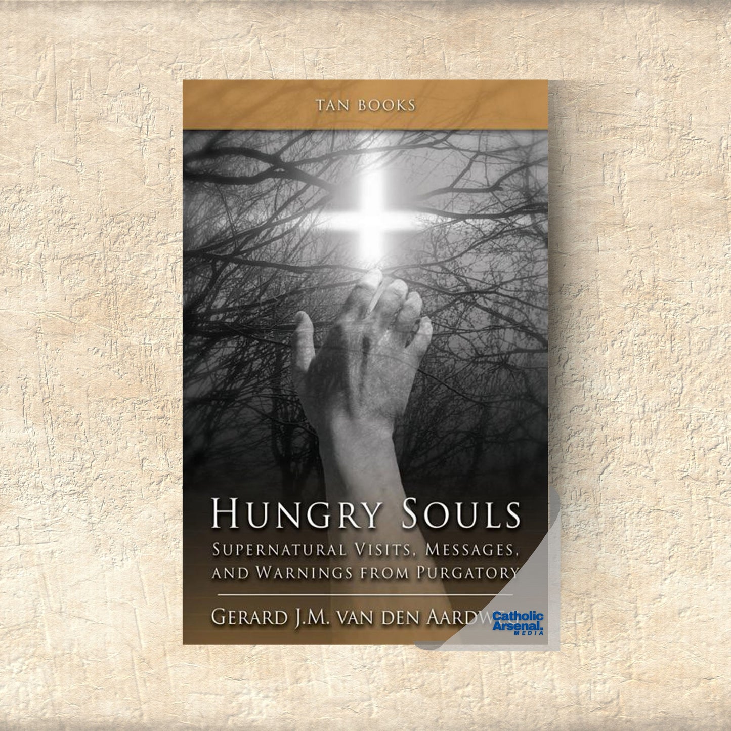 Hungry Souls: Supernatural Visits, Messages, and Warnings from Purgatory