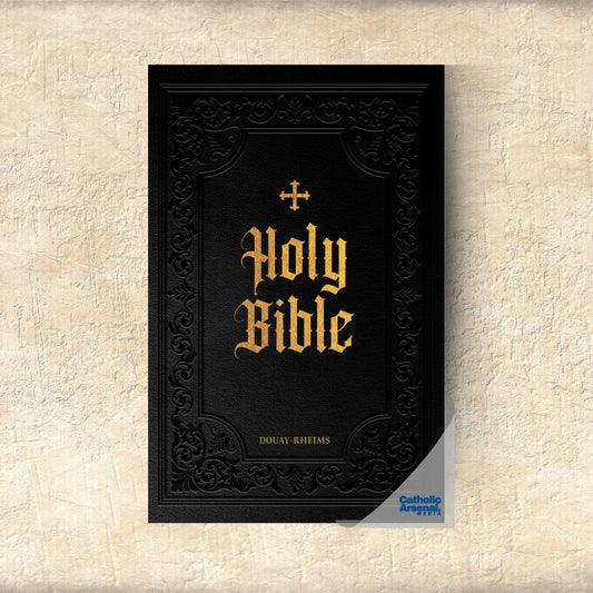 Douay-Rheims Bible Large Print Edition