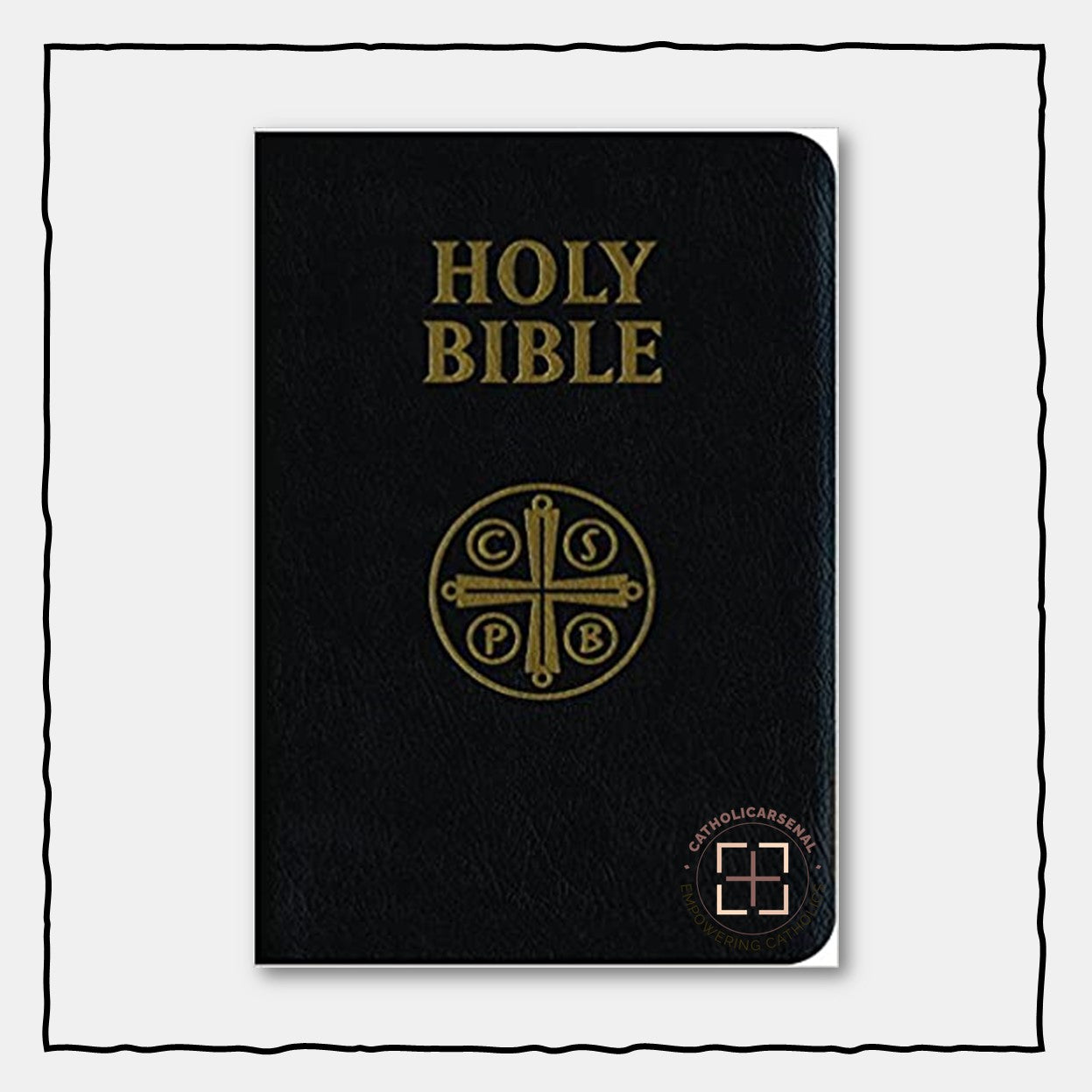 Holy Bible: Douay-Rheims Version (Genuine Leather Back)