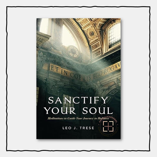 Sanctify Your Soul : Meditations for Your Journey to Holiness