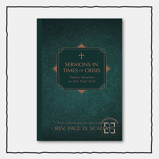 Sermons in Times of Crisis : Twelve Homilies to Stir Your Soul