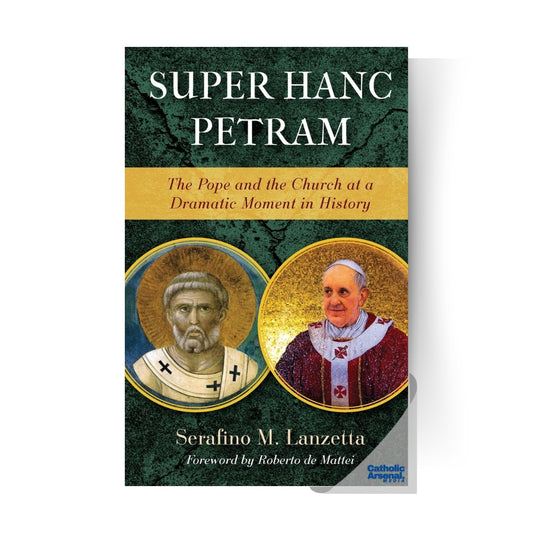Super Hanc Petram : The Pope and the Church at a Dramatic Moment in History