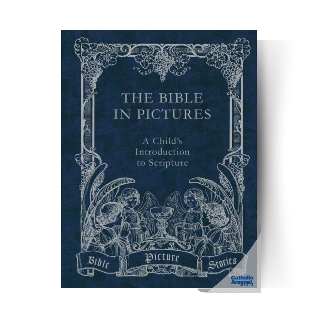 The Bible in Pictures: A Child's introduction to Scripture (Hardcover)