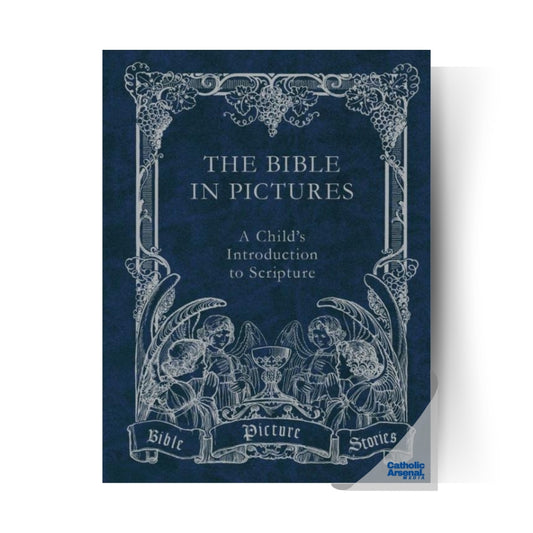 The Bible in Pictures: A Child's introduction to Scripture (Hardcover)