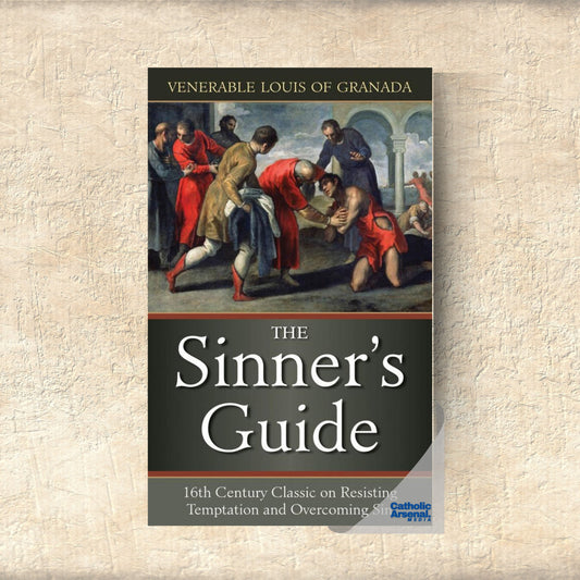 The Sinner's Guide