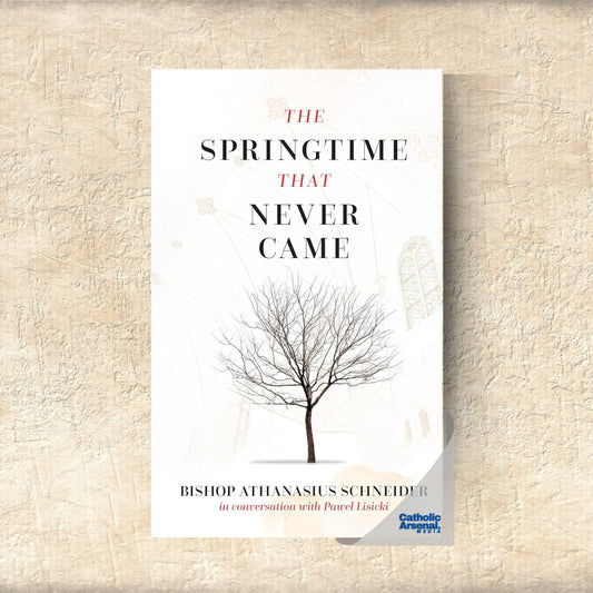 The Springtime That Never Came: In Conversation with Pawel Lisicki, Hardcover