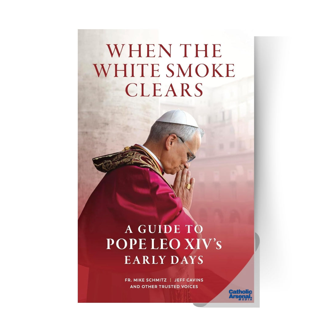 When the White Smoke Clears: A Guide to Pope Leo XIV's Early Days
